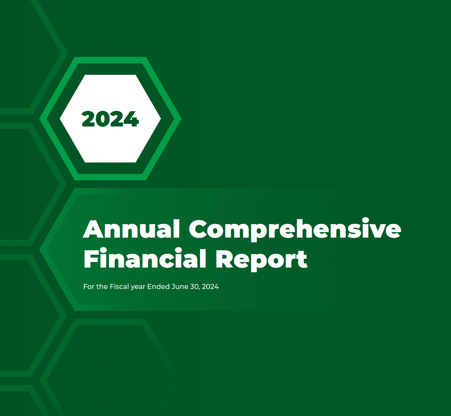 FY 2024 Audited Financial Statements